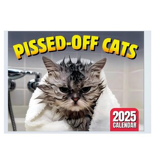 Pissed-off cats2025 Year Angry Cat Calendar Angry Cat Angry Full of Angry Cat Calendar