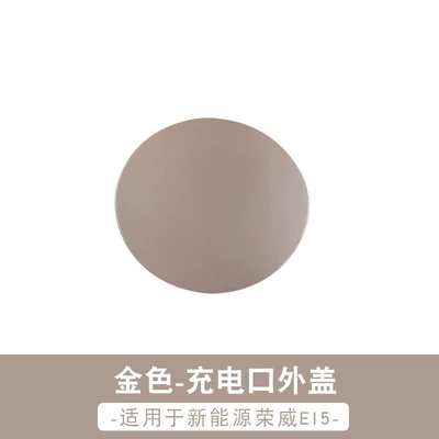 port box cover plate with paint – Tank cap - golden-roewe-ei5