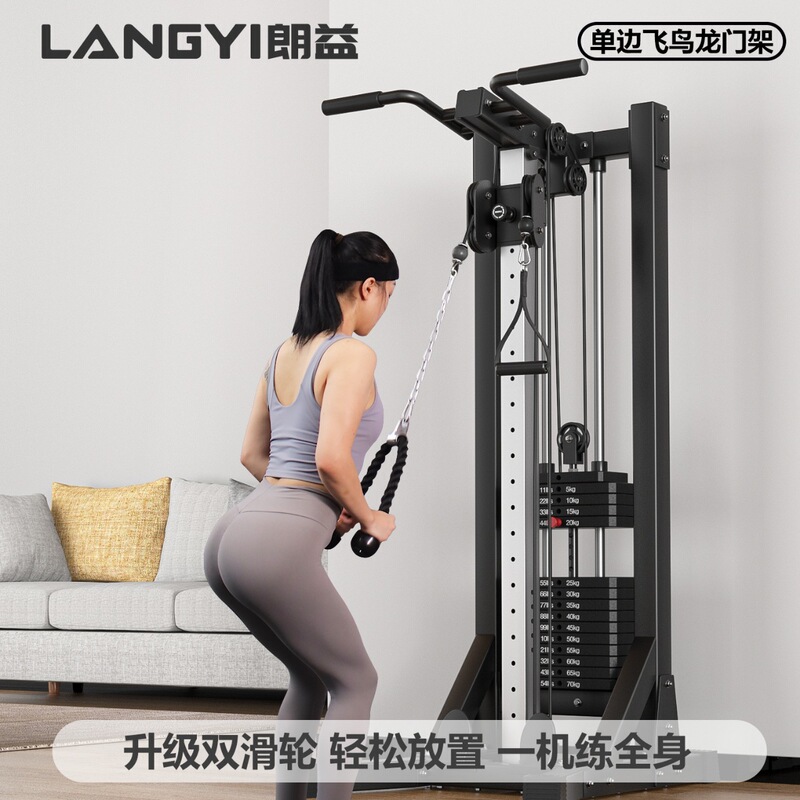 龙门架健身家用器材单边飞鸟多功能综合训练器划船机高位下拉小型|undefined