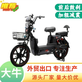 其他电动车;骑行头盔;电动代步车