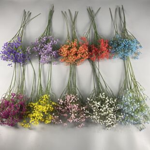 �M���Ƿ��滨��c�û��Ƶ��̈�����bٻ������߼��ДzӰ���߻�