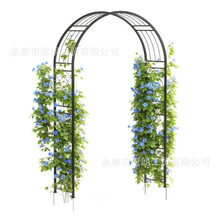 ���ٻ��@���T,���ŵĻ�Y���T��춃xʽ�b�,��ټ�����ֲ��