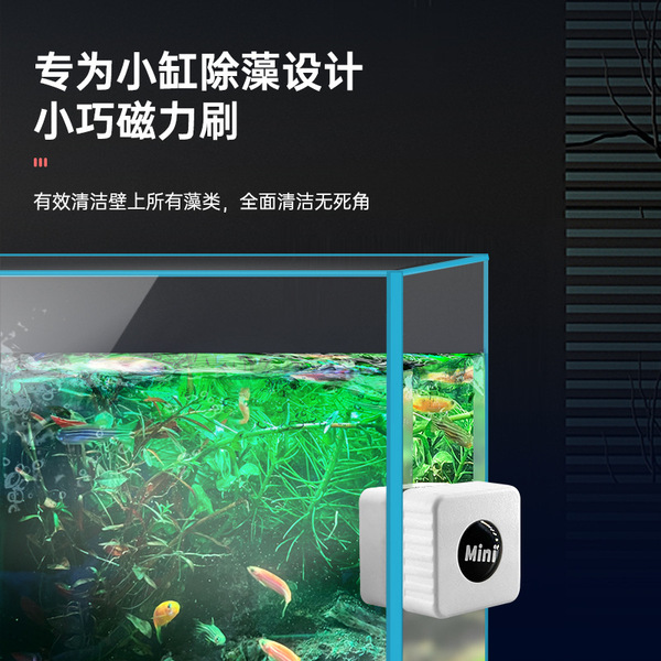 Small aquarium