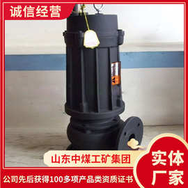 WQK型切割潜水排污泵厂家货源切割潜水排污泵大量供应潜水排污泵