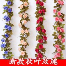 �ٻ�����õ�廨�ٵ���b��ړ����{�ܵ�ů��ܵ��p�@���ϻ�������