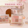 Color SCHOOL Color Color School Little Panda Soft Misty Five Color Eye Shadow Disk Pearl Mattees Earth Candy Eye Shadow