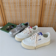 h͎eСЬŮ2024¿nٴЬСЬ5262