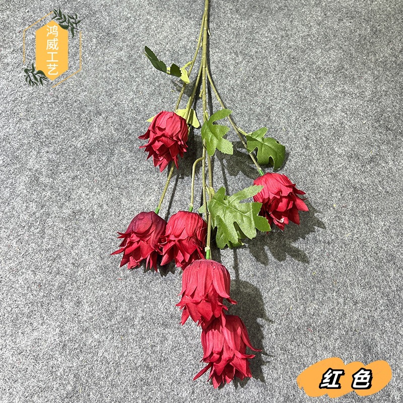 레드