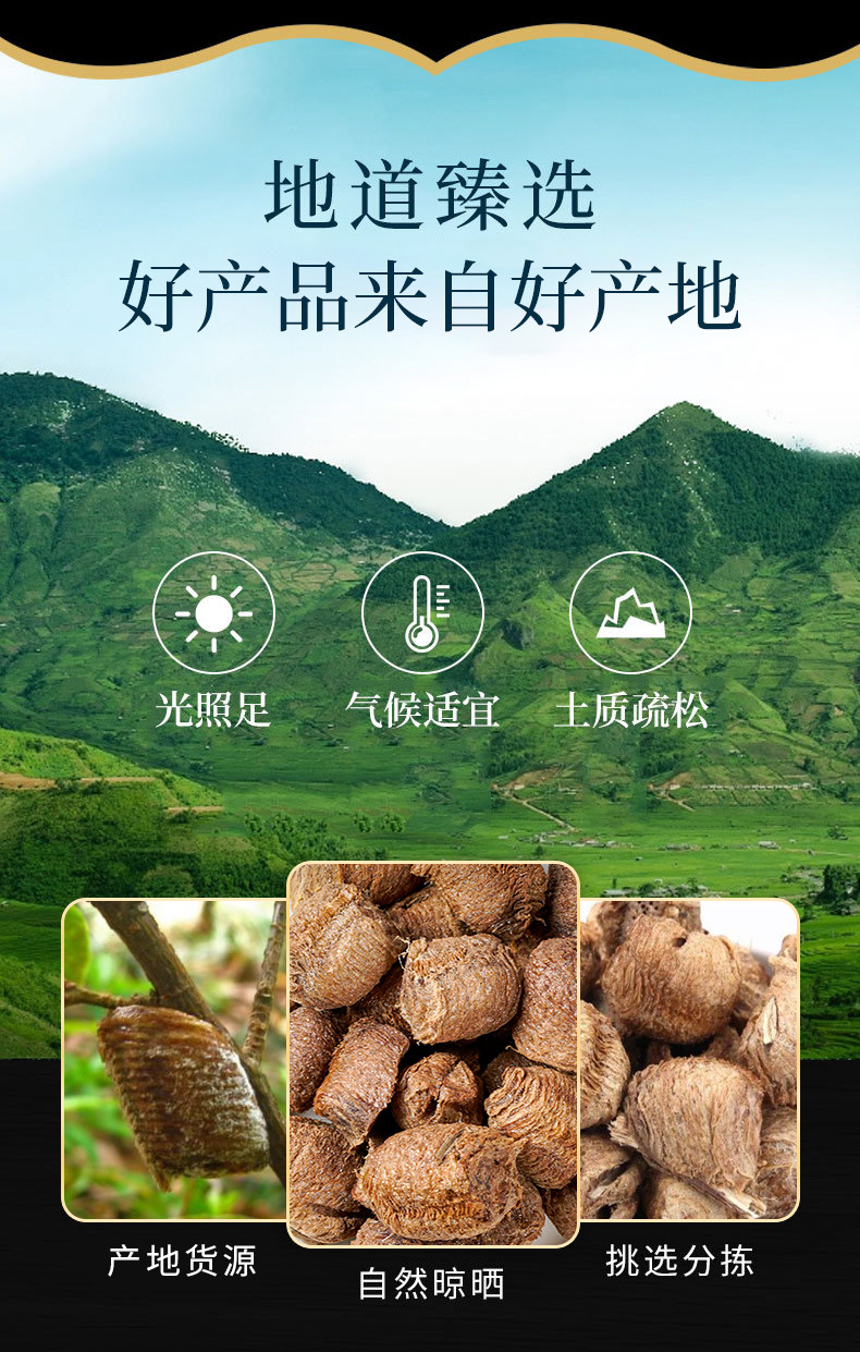 Sang Piao Xiao (Mantis Egg-Case) — Dried TCM Herb, Naturally Sun-Dried, Sichuan Origin overview