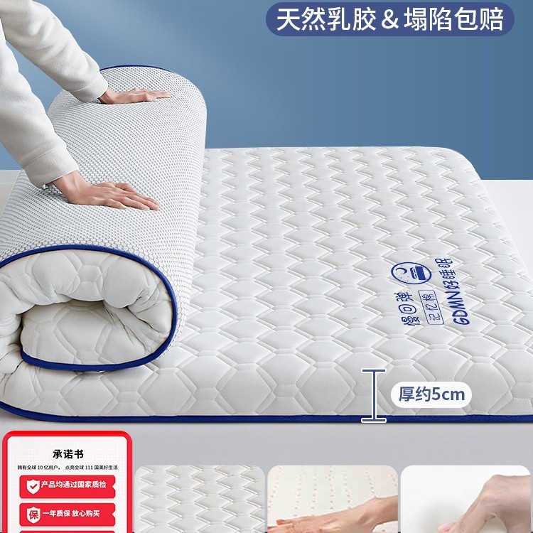 乳胶记忆棉床垫家用卧室租房软垫180x200床褥垫学生宿舍单人5|undefined