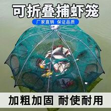 �r�\�~�W��W�~�\���r�W�з�\�S�X�\�O�W���~�W���q�\�S�X�\���~