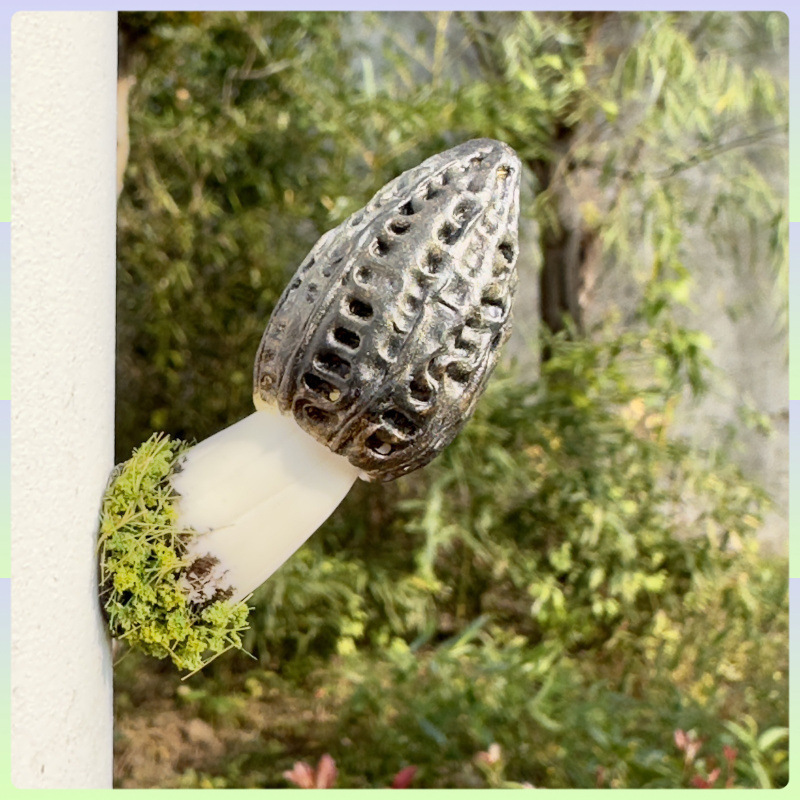 云南野生菌冰箱贴 手工制作 磁铁冰箱贴 蘑菇冰箱贴 冰箱贴磁吸式|undefined