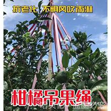 ���ُ�����֦�����l�����ε�֦�������@֧�ι����K�ӵ�ˮ��֦