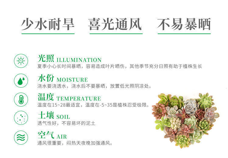 a9bbabfe-2fc3-4be1-8810-073c5a06f987.jpe