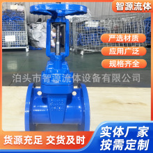 软密封明杆闸阀厂家铸铁弹性座封法兰防护闸阀Z41X-16Q阀门加工