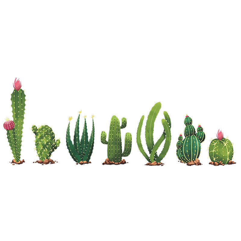 New Tropical Cactus Skirting Wall Stickers display picture 8