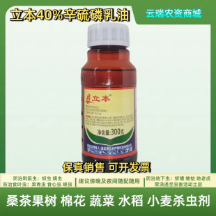 ����40%������300�� ɣ�����߲˟�����ľ ���xʳ�~���º��x���x��