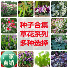 �ݻ��N����������������_���������N���ļ��_�����NͥԺ�҃�����