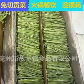 工厂批发火锅食材贡菜干脱水蔬菜新货贡菜苔菜下饭菜专用商用干货