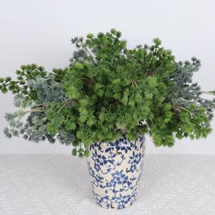 ����Gֲ������ᘰؘ��ɰط��滨�ߙn�Ҿ��b��辰�[���ز��ֲ��