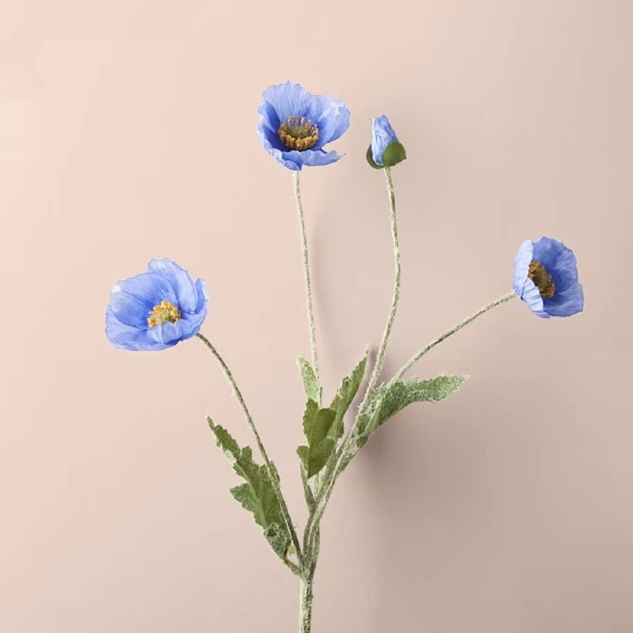 바다색