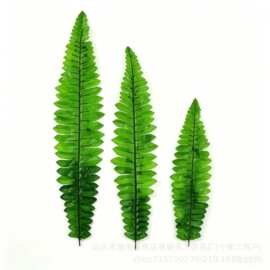 TEMU跨境批发人造波斯草插花绿植物大号蕨叶单只仿真叶ins风叶子