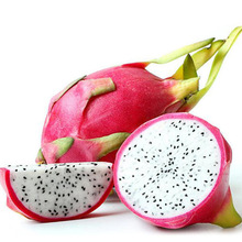 上海锦茗 进出口 水果清关拖车及冷链物流