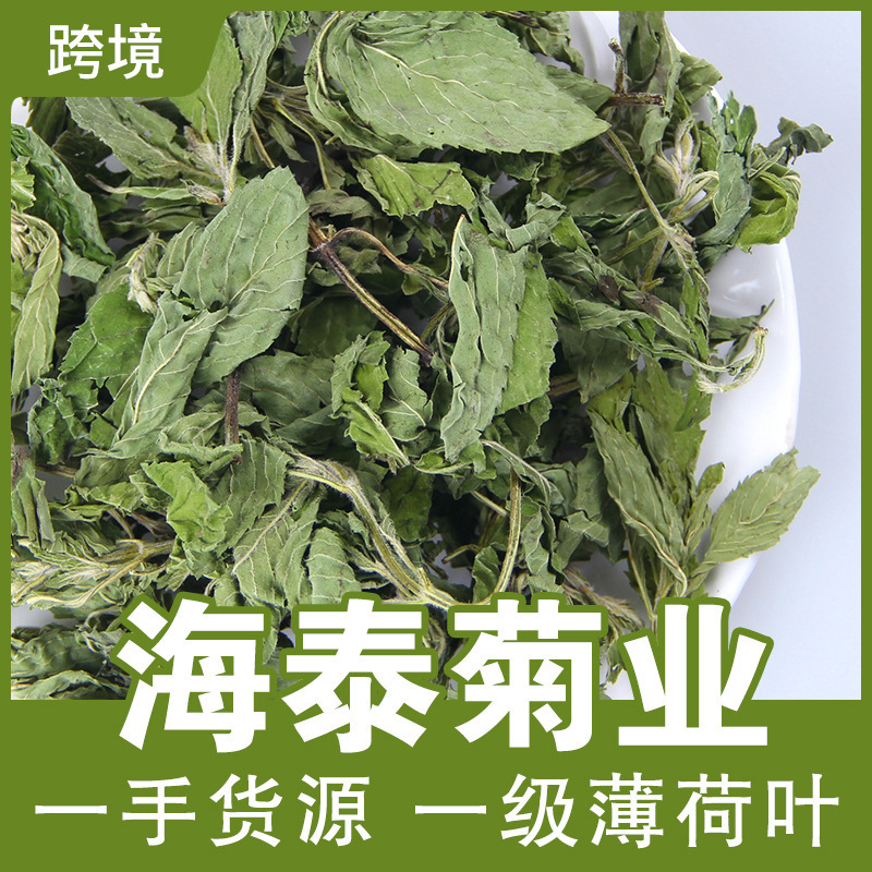 Mint tea dried mint leaves fresh edible tea water to drink things first-class cool herbal tea cold bubble summer
