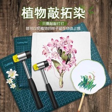 ���ˋDŮ��ֲ������Ⱦ�ɻ�diy���ϰ����߲������b�����������ӡ