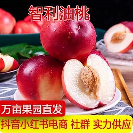 其他水果;梨;番薯类