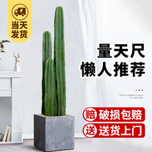 ������������o�����Զ������������ֲ���҃ȿ͏d����ȩ���B�Gֲ