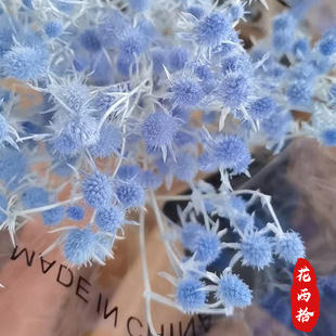 �������˹��ɻ���ϻ���ֱ�l25ɫС���ۼҾ��b������Ĳ廨���