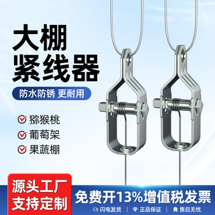 Grape Rack Tightening Wire Rope Tightening Greenhouse Electro-galvanized Tightening Wire Fastening Small Steel Wire Tensioner Iron Wire Buckle