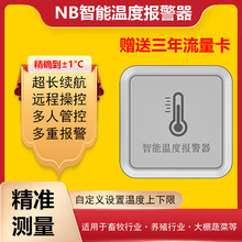 NB-IOT温度报警器温度记录仪远程监控报警工业智能冷库机房温度计
