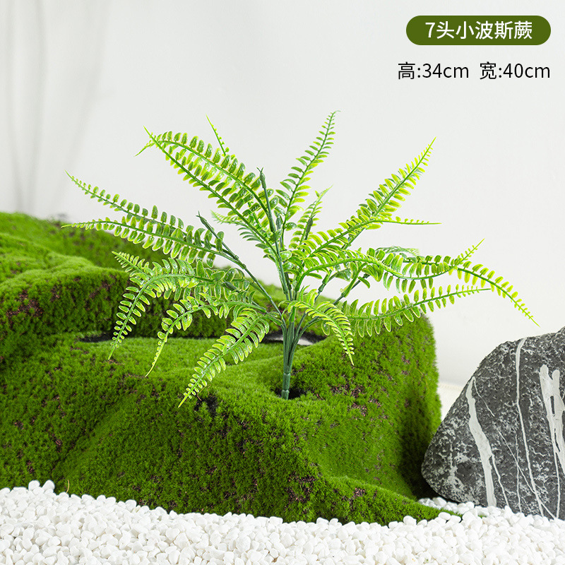 Simulación de plantación y paisajismo verde, materiales de distribución pequeños de todo uso, materiales auxiliares, arreglos florales, helechos, césped falso, decoración de plantas pequeñas, decoración de paisaje image 7
