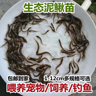 ̨�����q��~�籾�����q���q�r���~�Bֳ��ˮ�������~�������