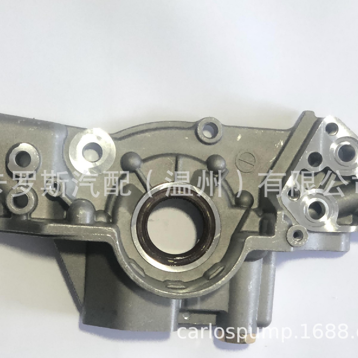 Carlos 21310-3E001