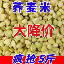 荞麦米东北当季新米10斤三角麦农家自产杂粮荞麦仁粒散装脱壳煮粥