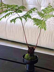 ���l�W�t��ë����ާһ�~ާ��辰�����Ϙ�ާ�ֲ���ëާGֲ��