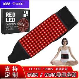 电子美容仪;面罩美容仪;电热护膝护腰