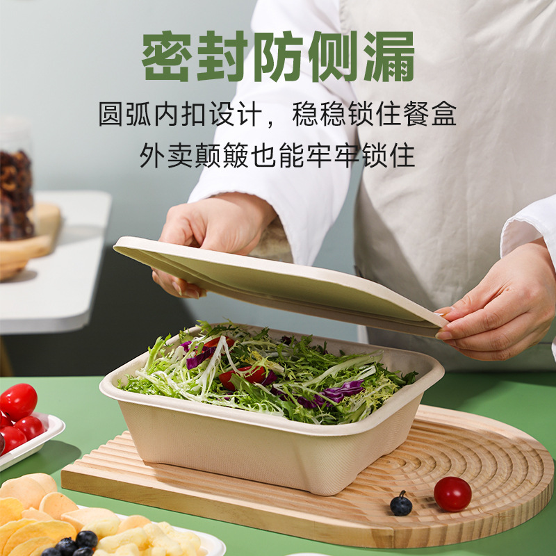 bandeja de comedor desechable sopa de ensalada degradable sopa de frutas de barbacoa ecológica tazón de sopa de barbacoa espesa bento