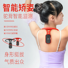 Back correction device, writing posture corrector, intelligent monitoring body shape corrector, children's anti-hunchback posture belt