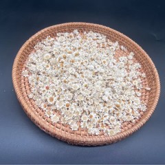 ブラジルの小さな星の花、小さなデイジーフラワーヘッド、ロッドレスフラワー、DIYドライフラワー、クリスタル接着剤装飾フィラー、ドライフラワーヘッド