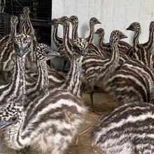 �r�B����һ�����w�����r�B������������B������������С�r�B��