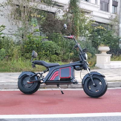 model 2000W electric: Elektrikli motosikletlər