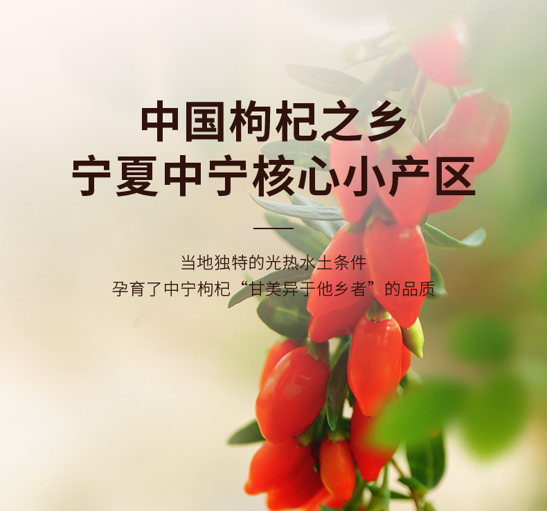 Premium Ningxia Goji Berries 250g White Jar 280 Large Dried Wolfberry Fruit Ready to Eat key features