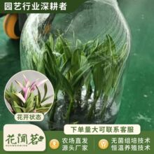 ����ʯ����ˮʯ��1015ƿ���׳ɻ�M��С���҃������Ի�������r��