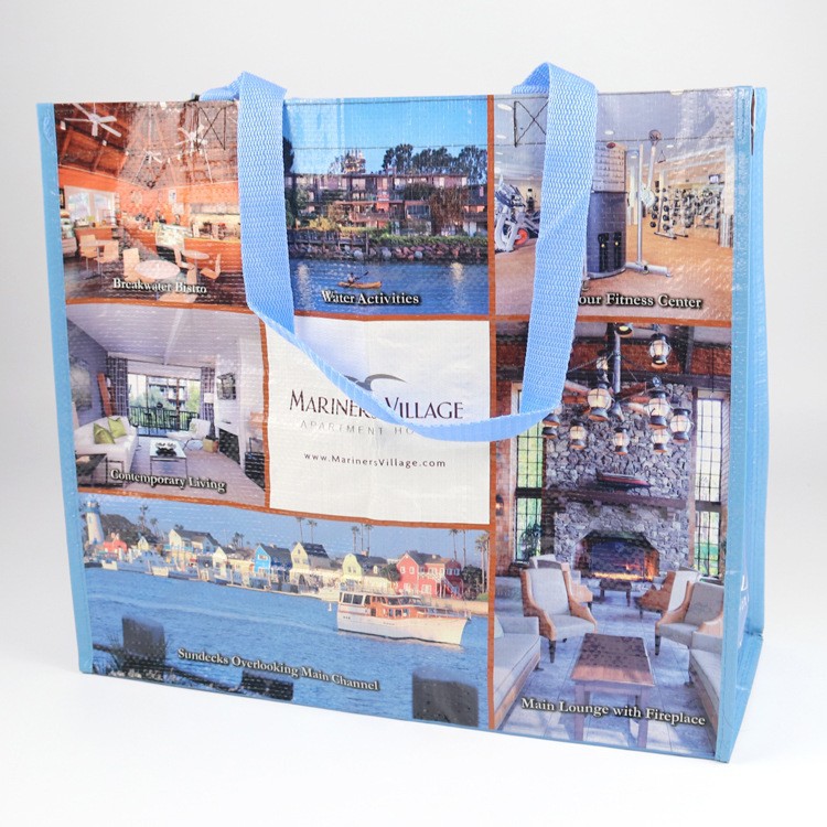 Supplying PP Bags portable Snakeskin bag advertisement Propaganda Shopping bag Printing Film Bags System