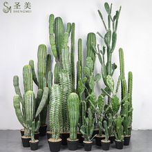 仿真仙人柱大型沙漠植物北欧仙人掌仙人球假绿植室内场景橱窗装饰