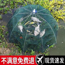 �O�W�ؾW�~�\ֻ�M�������~�W�r�\���q�S�X���r�~�W�ۯB���r�\��